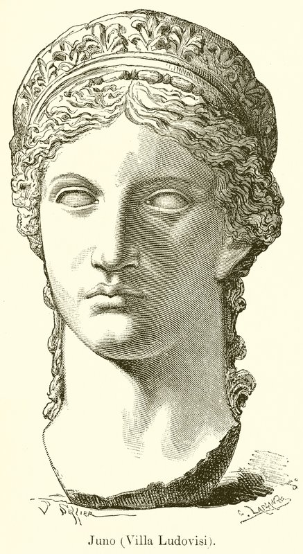 Juno (Villa Ludovisi) af English School
