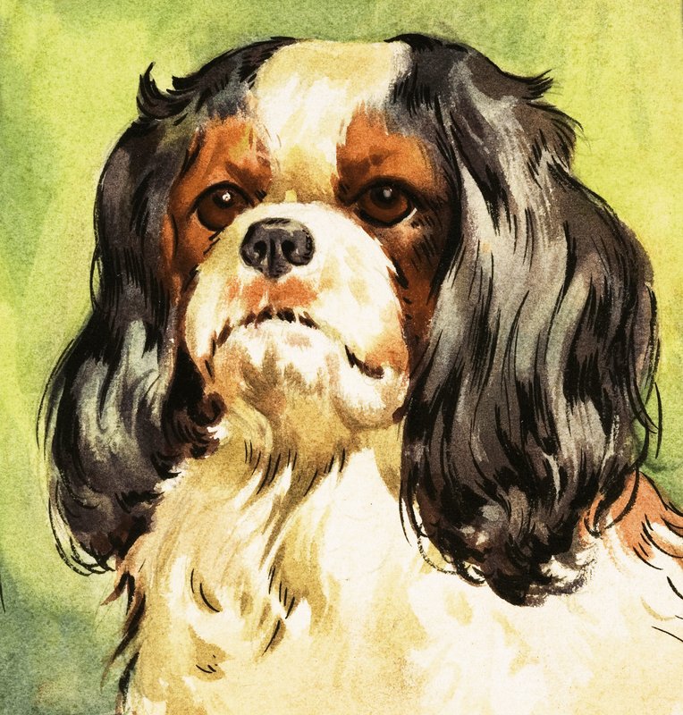 King Charles Spaniel af English School