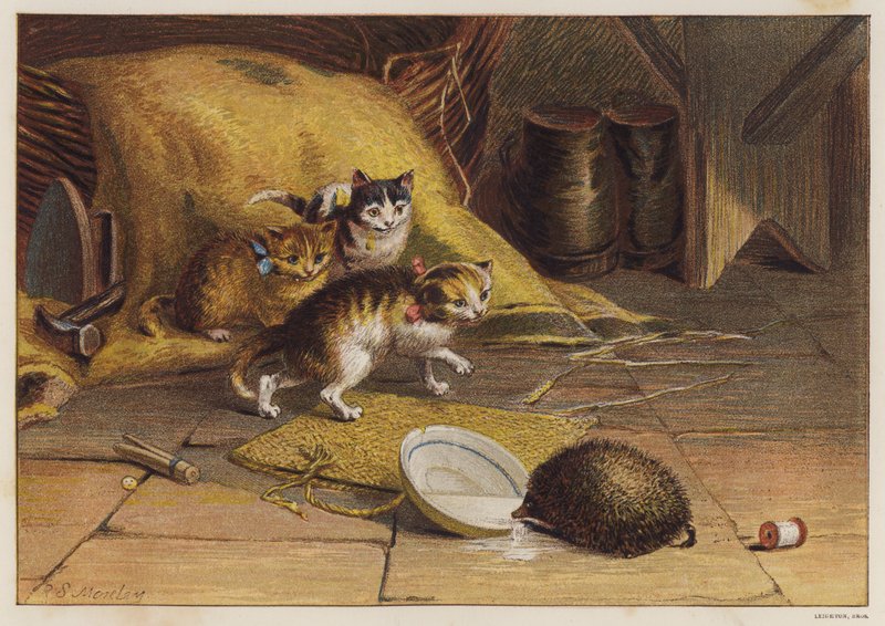 Killinger forvirret af et pindsvin (farve litho) af English School