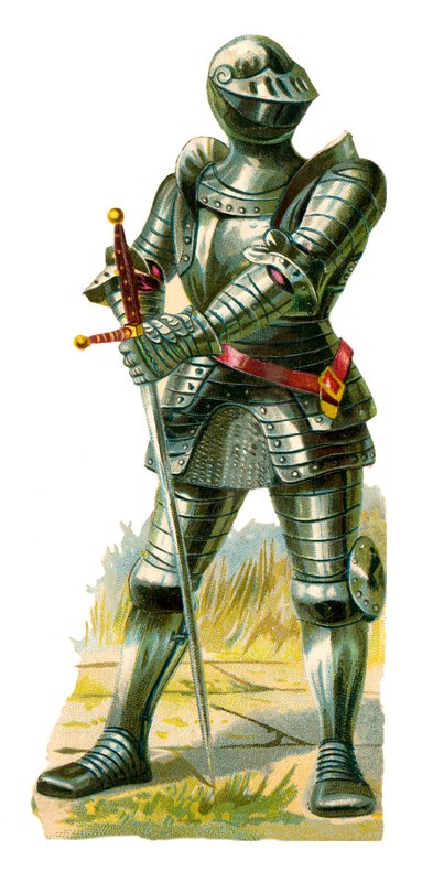 Ridder af kong Henrik VII