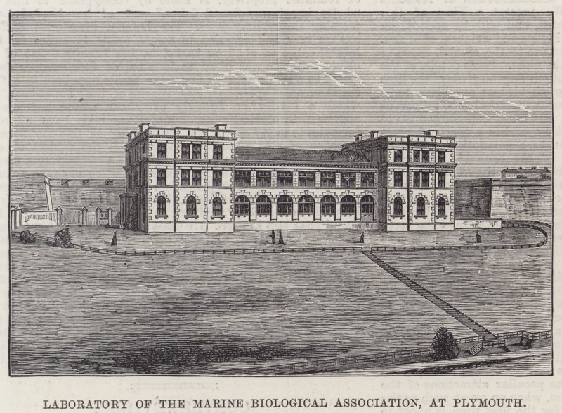 Laboratory of the Marine Biological Association, i Plymouth (gravering) af English School