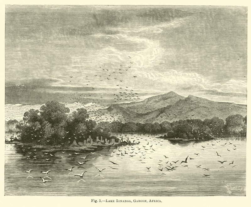 Lake Ionanga, Gabon, Afrika af English School