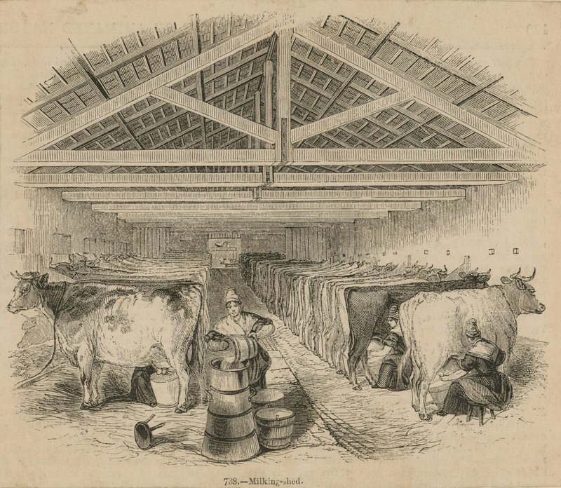 Laycocks Dairy Farm, dateret juli 1841 af English School