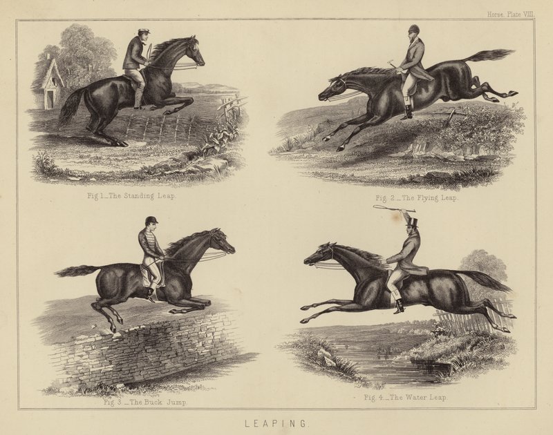 Springende (farve litho) af English School