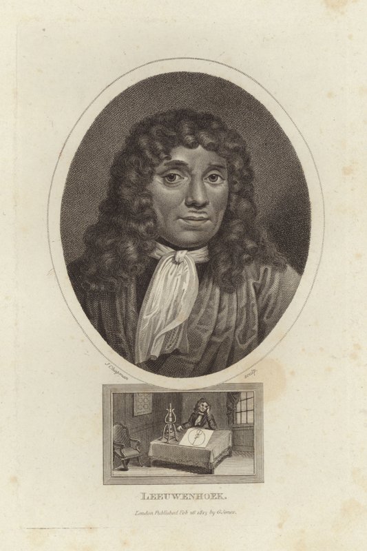 Leeuwenhoek af English School