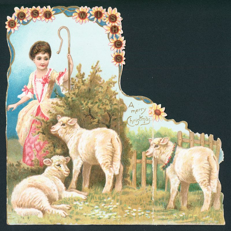 Lille Bo Peep, julekort af English School