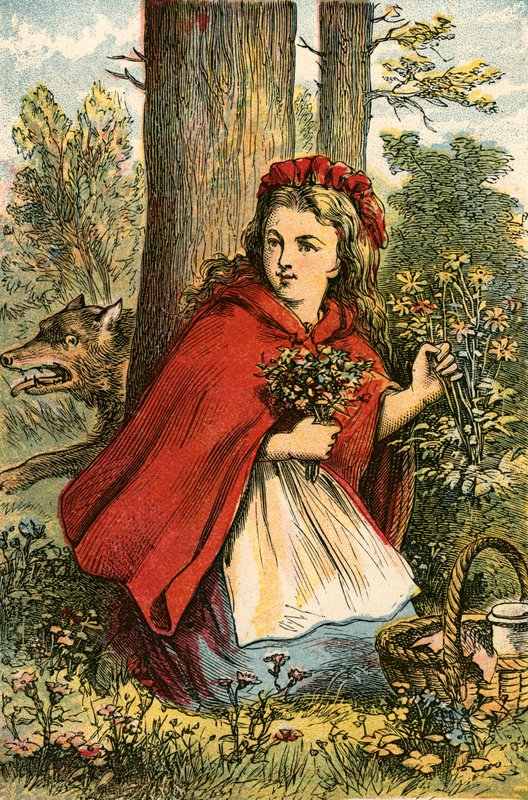 Rødhætte samler blomster af English School