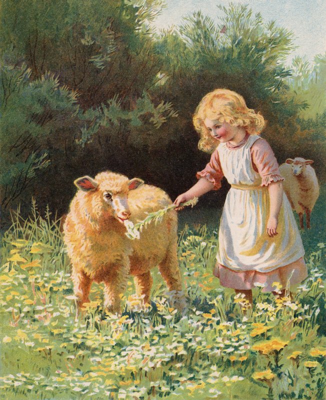 Lille pige fodrer en blomst til et får på en eng (chromolitho) af English School