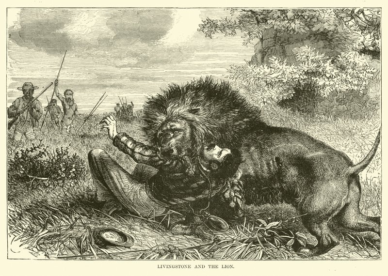 Livingstone og løven af English School