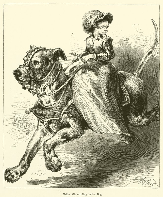 Mademoiselle Minie rider på sin hund (gravering) af English School