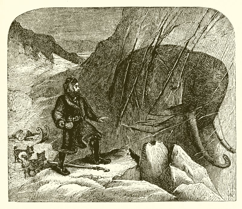 Mammoth i isen af English School