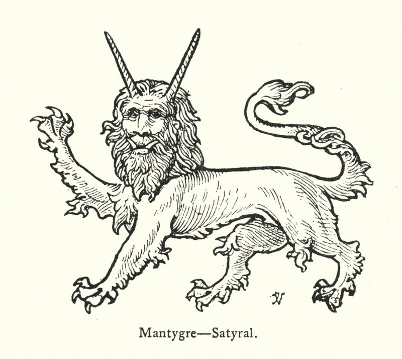 Mantygre, Satyral (gravering) af English School