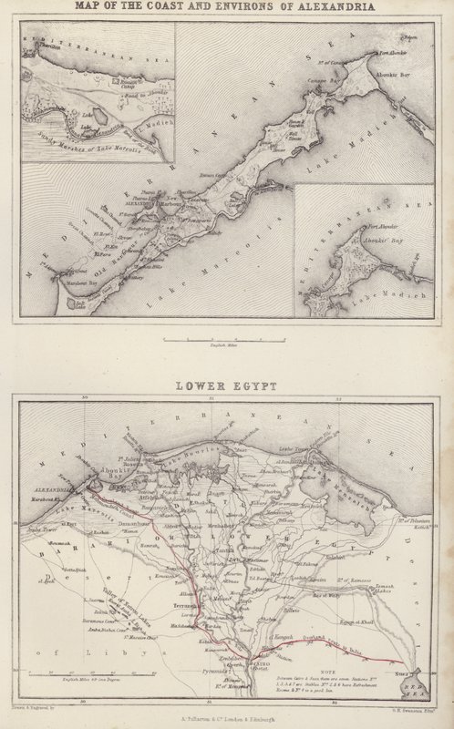 Kort: Kort over kysten og omegnen af Alexandria; Nedre Egypten (farvelitografi) af English School