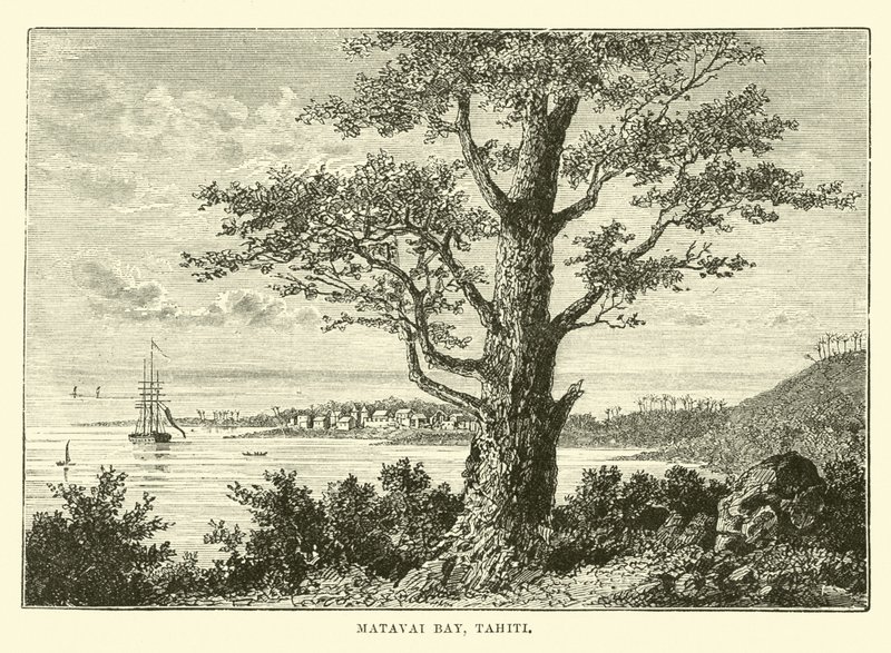 Matavai Bay, Tahiti af English School