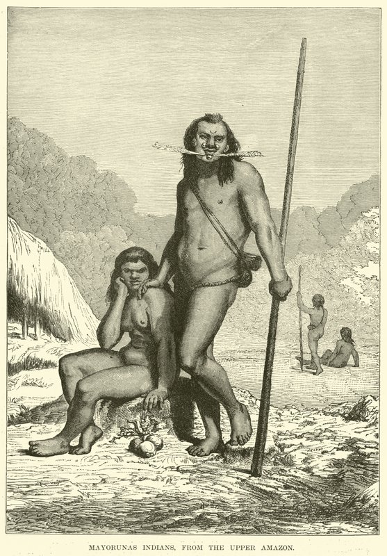 Mayorunas indianere, fra den øvre Amazonas af English School