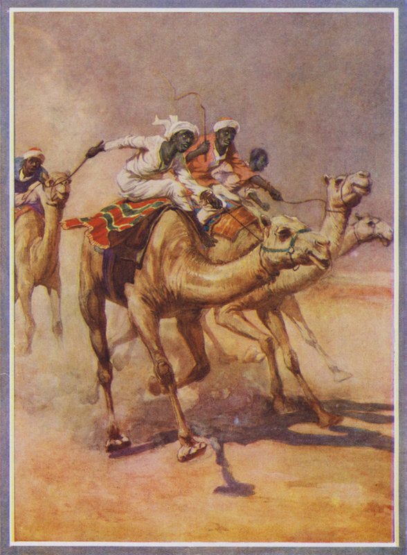 Mænd, der rider på kameler i et kapløb i ørkenen (farve litho) af English School