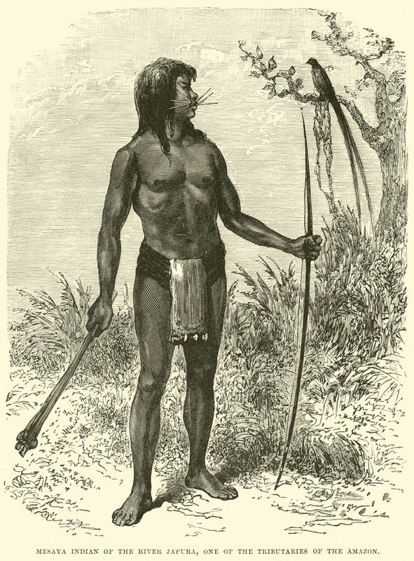 Mesaya Indian af floden Japura, en af Amazonas bifloder af English School