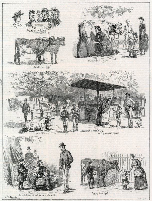 Mælkemesse i St James