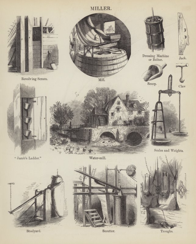 Miller (engraving) af English School