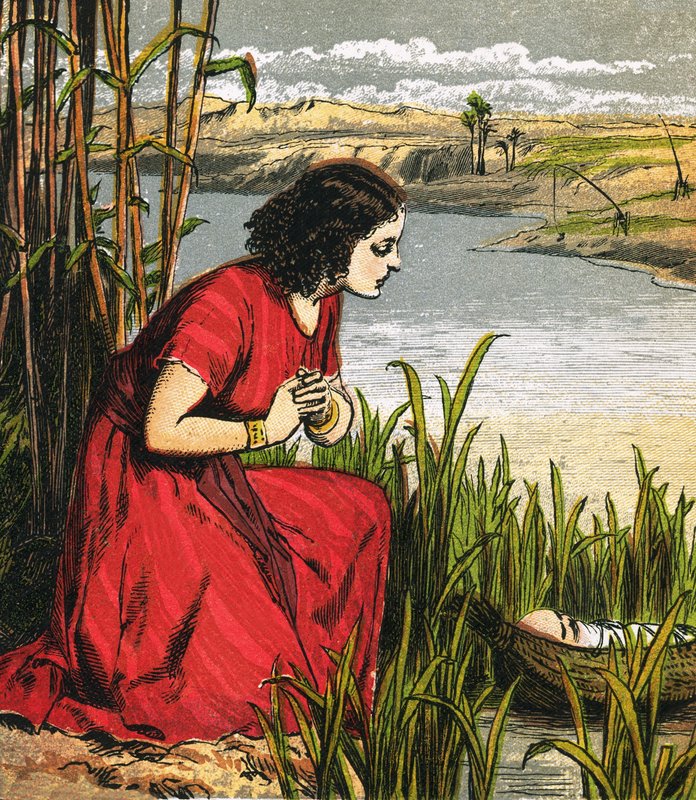 Moses bliver sat i tyrene af English School