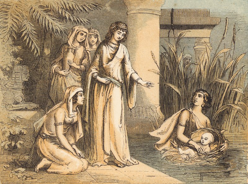 Moses in the Bulrushes (farvet gravering) af English School