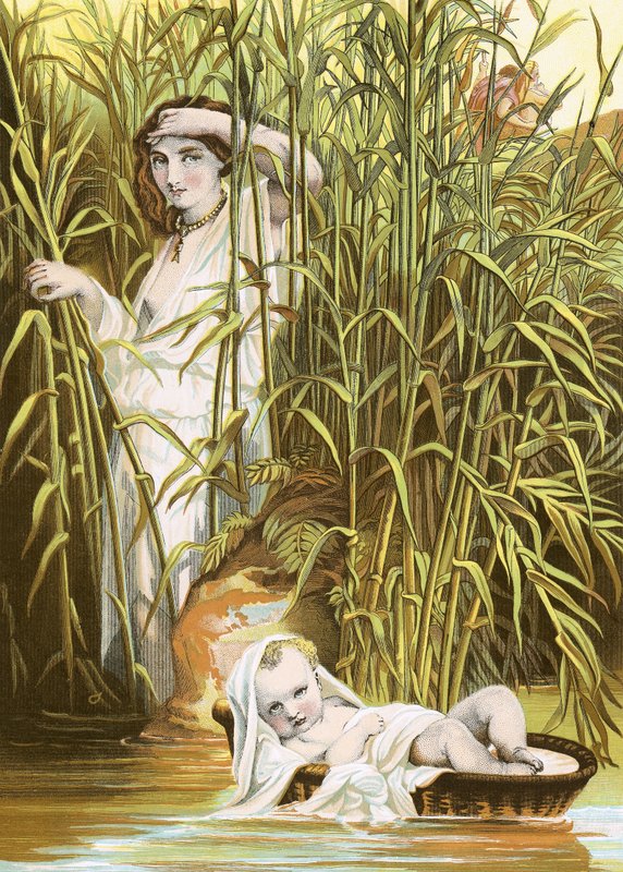 Moses i bynkebuskene af English School