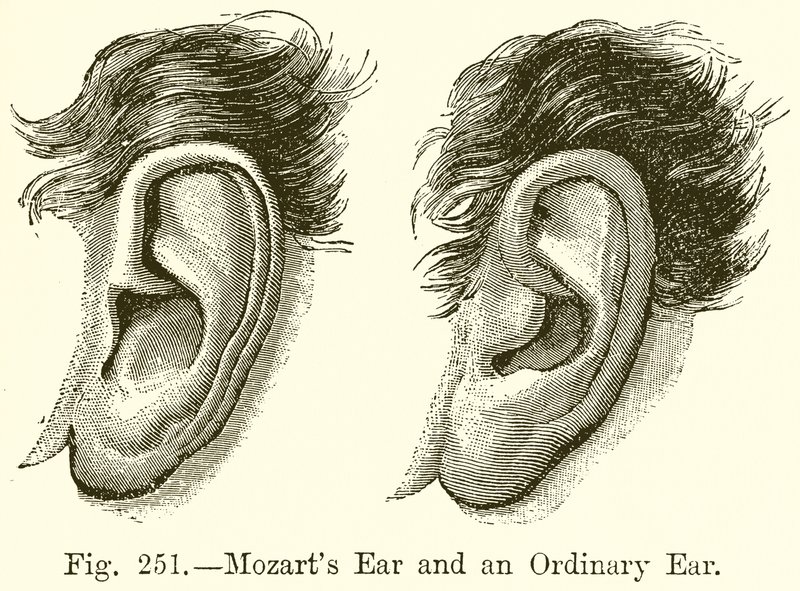 Mozarts øre og et almindeligt øre af English School
