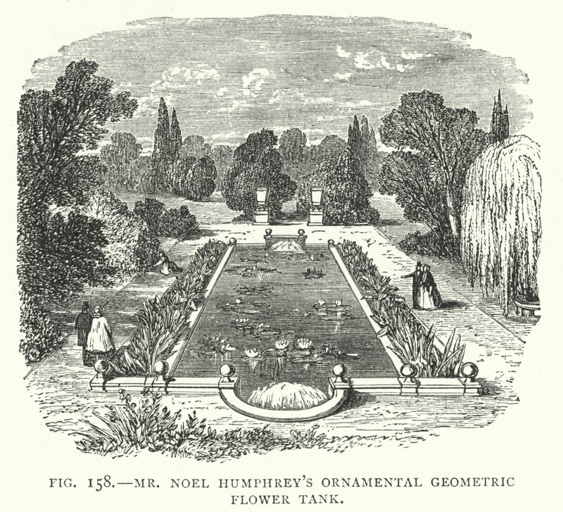 Mr Noel Humphreys dekorative geometriske blomstertank (gravering) af English School