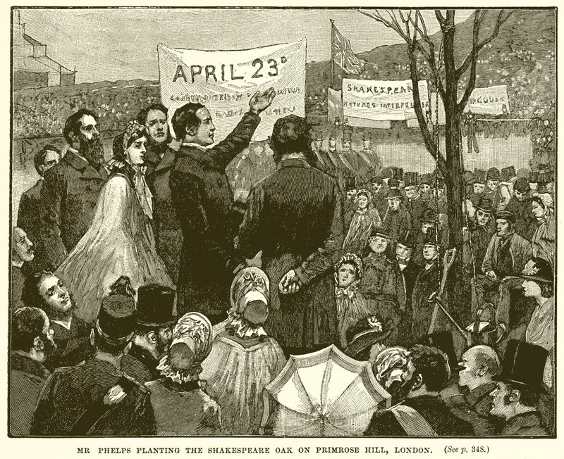 Mr. Phelps planter Shakespeare Oak på Primrose Hill, London af English School