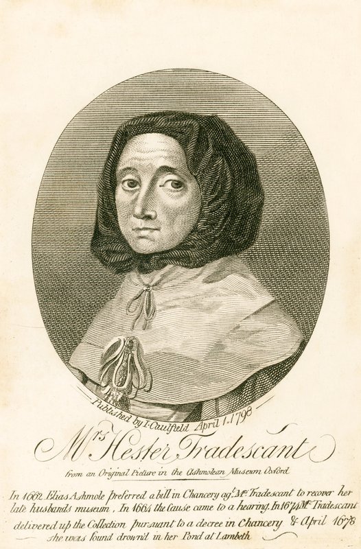 Fru Hester Tradescant af English School