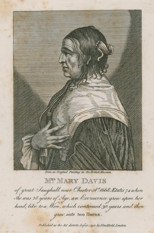 Mrs Mary Davis fra store Saughall nær Chester, 1668 af English School