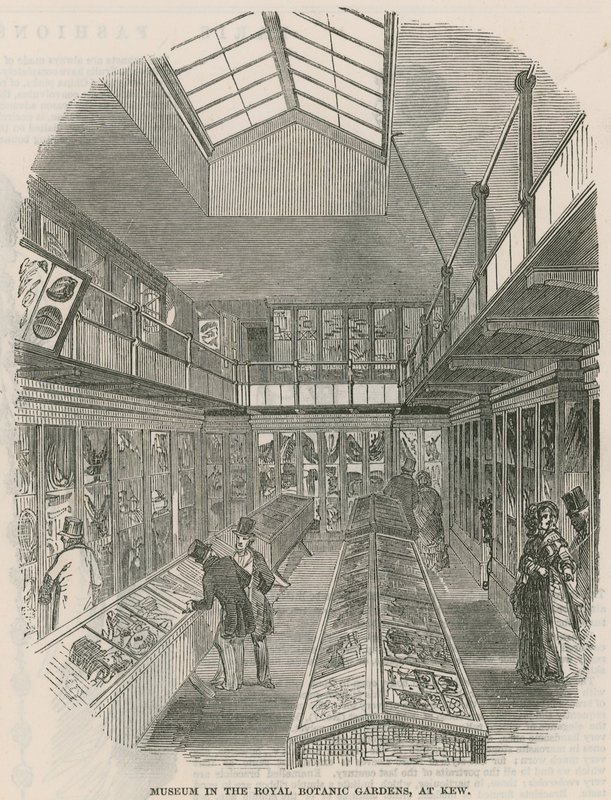 Museum i Royal Botanic Gardens i Kew af English School