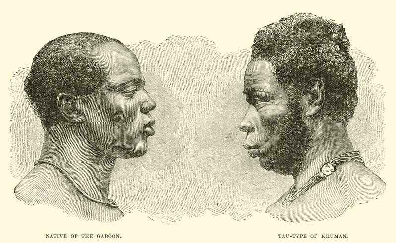 Native of the Gaboon; Tau-type of Kruman  af English School