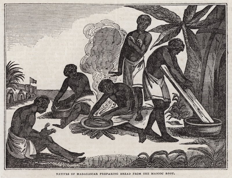 Indfødte fra Madagaskar ved tilberedning af brød af maniokrod (gravering) af English School