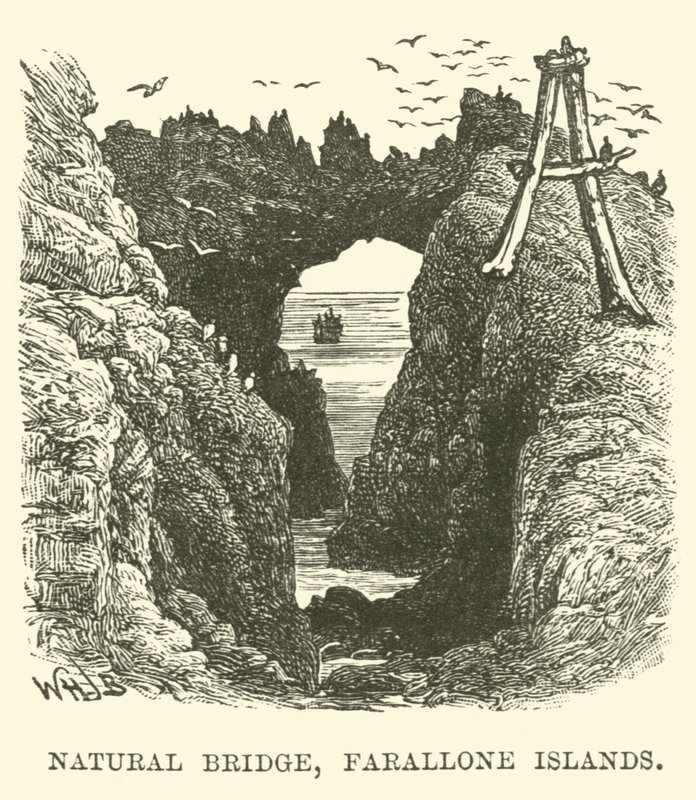 Natural Bridge, Farallone-øerne af English School