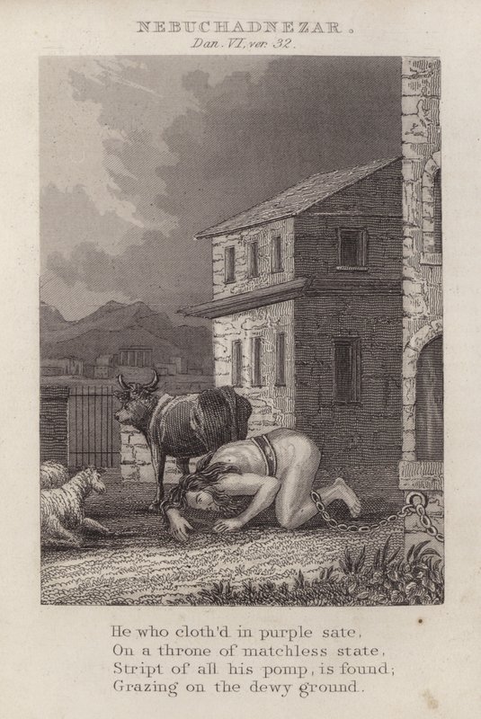Nebukadnezzar, Daniel VI, ver 32 (gravering) af English School