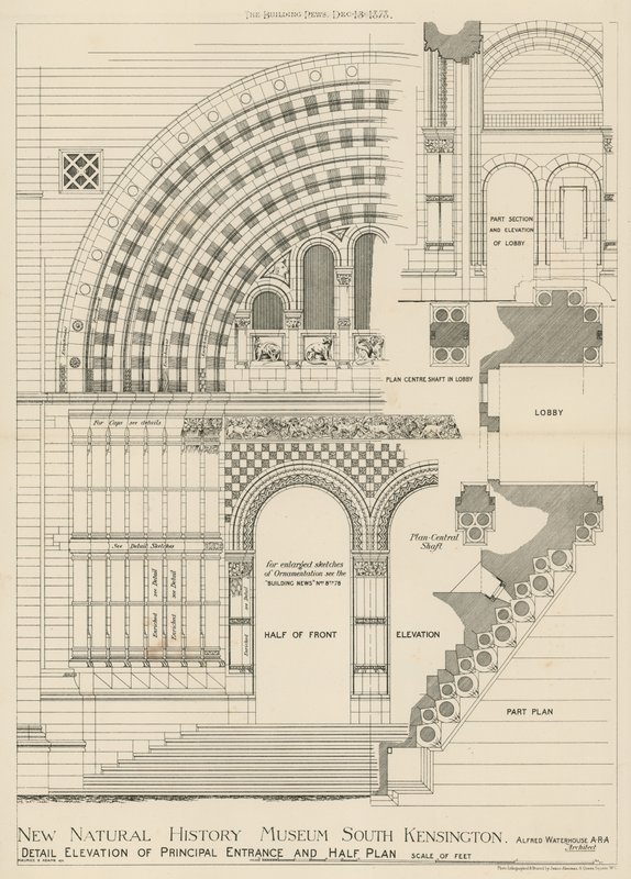 New Natural History Museum, South Kensington, London af English School