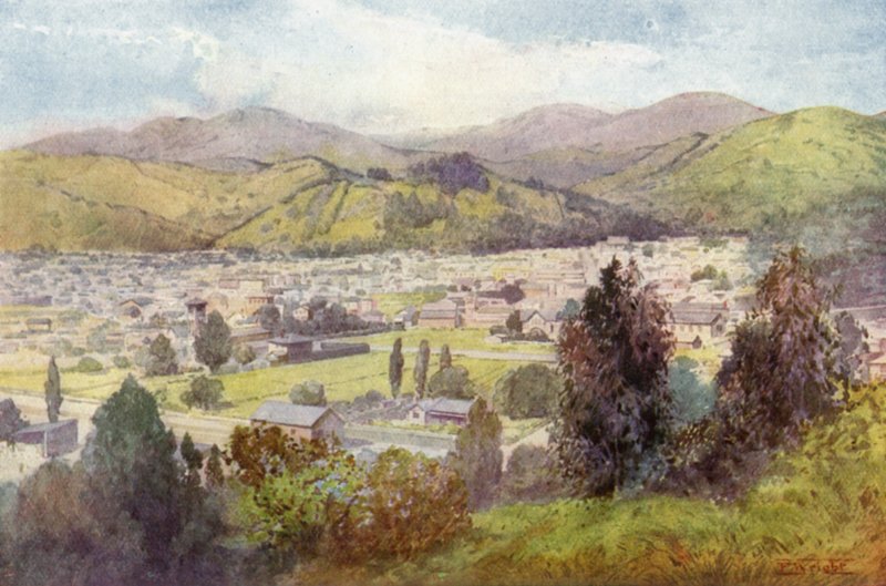 New Zealand: Nelson (farvelitografi) af English School