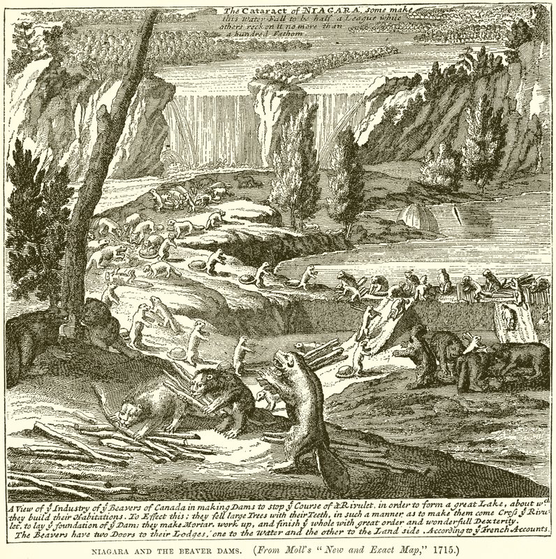 Niagara og Beaver-dæmningerne af English School
