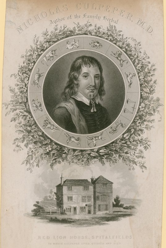 Nicholas Culpepper, MD af English School