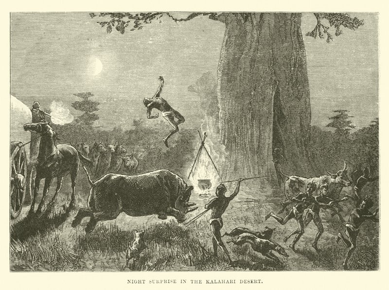 Natoverraskelse i Kalahari-ørkenen af English School