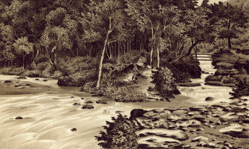 Nord-Devon: "The Watersmeet", Lynmouth (litografi) af English School