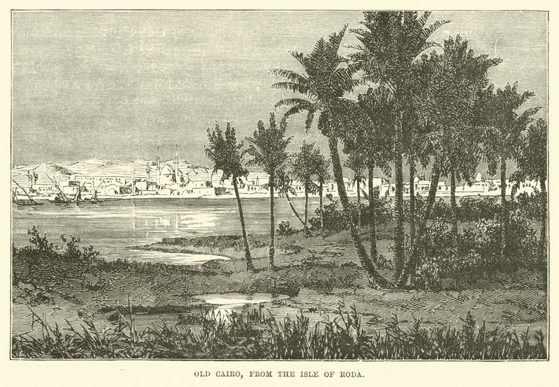 Old Cairo, fra Isle of Roda af English School