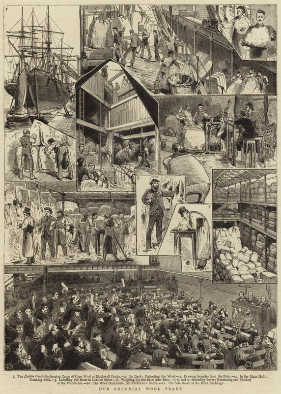 Vores koloniale uldhandel af English School
