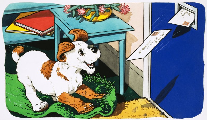 Paddy Paws af English School