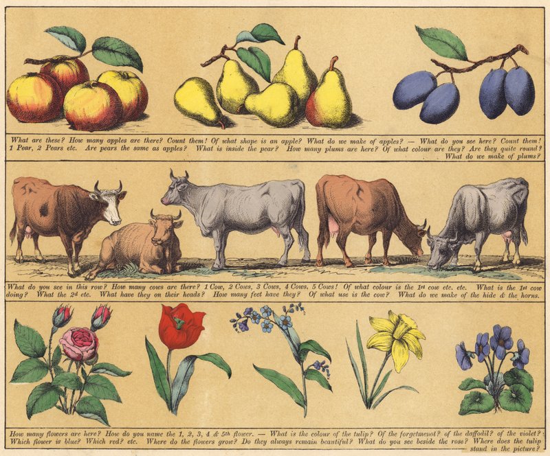 Side fra Den nye billedbog (farve litho) af English School