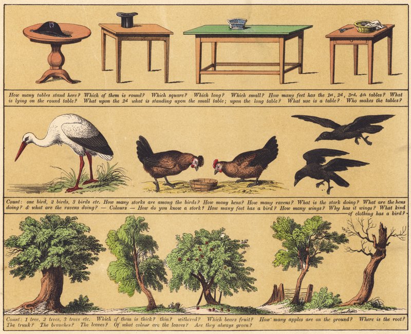 Side fra Den nye billedbog (farve litho) af English School