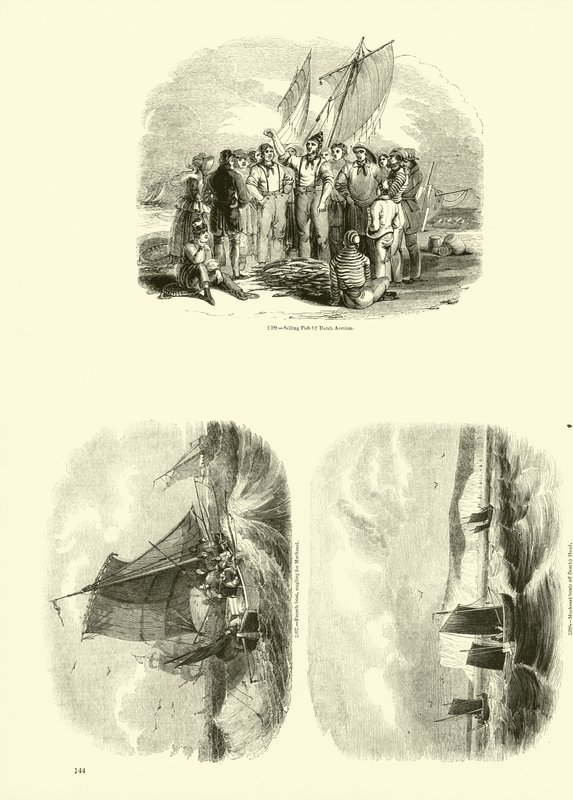 Side fra The Pictorial Museum of Animated Nature af English School
