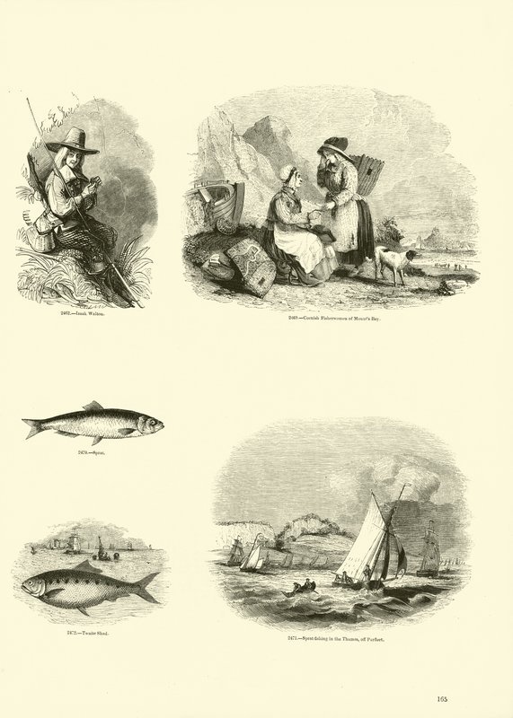 Side fra The Pictorial Museum of Animated Nature af English School