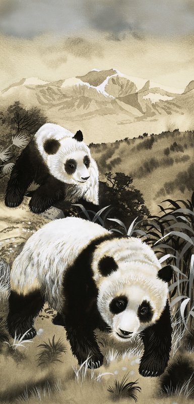 Pandaer af English School